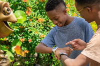 NIEUWE DETAILS: MagicBand+ wordt deze zomer gelanceerd en 'Hey Disney!' later dit jaar in Walt Disney World Resort