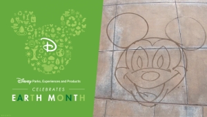 Field Notes: Disneyland Resort Cast Members ontdekken een manier om water te besparen