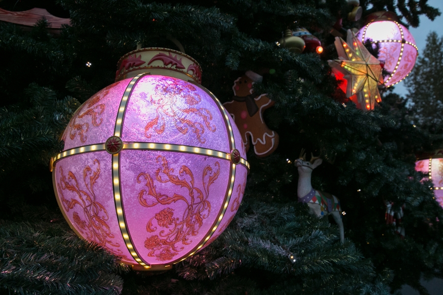 Serie: Kerst in Disneyland Parijs, een reis vol herinneringen (4)