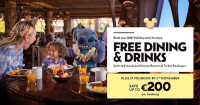 Boek nu jouw droomvakantie naar Walt Disney World Resort in 2027