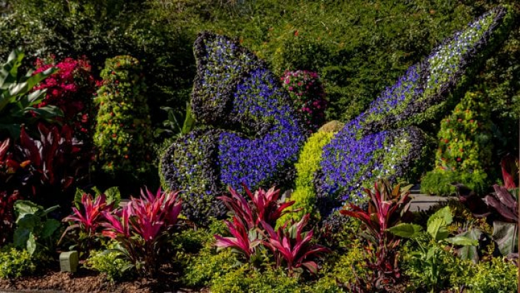 #DisneyFamilia: Op 'Encanto'-geïnspireerde tuin debuteert op EPCOT International Flower &amp; Garden Festival (WDW)