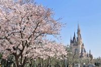 Lente in Tokyo Disney Resort