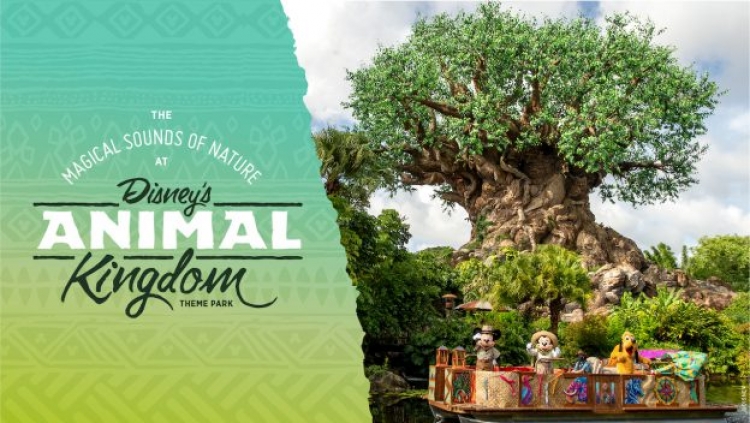 Vier Earth Day via ASMR met deze magische natuurgeluiden uit Disney's Animal Kingdom