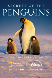 Secrets of the Penguins 25 april op Disney+