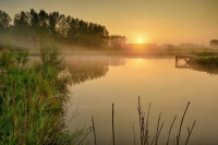 Ontdek de mooiste natuurgebieden in Vlaanderen om te gaan fotograferen voor de National Geographic Fotowedstrijd