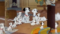 101 Dalmatiërs