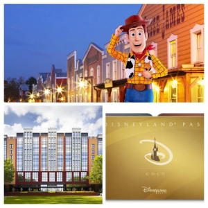 Hoe boek ik een Room-only verblijf zonder tickets met een Disneyland Pass?