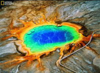 Disneyland Paris viert Earth Month