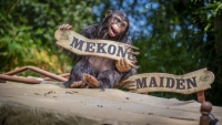 Nieuwe avonturen wachten op de wereldberoemde Jungle Cruise en Disney Imagineers zijn aan boord met meer humor, meer wilde dieren, meer plezier