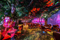 Wonderwoods: een magisch restaurant vlakbij Disneyland Paris