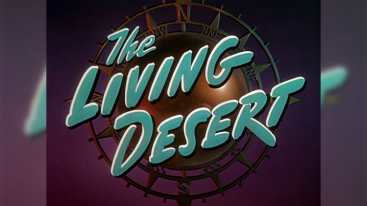 The Living Desert