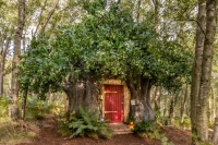 Een huis op maat van Disney’s Winnie de Poeh in het echte Honderd Bunderbos via Airbnb