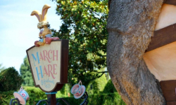 March Hare Refreshments
